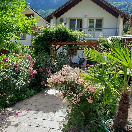 Pension Eden Băile Herculane エクステリア 写真