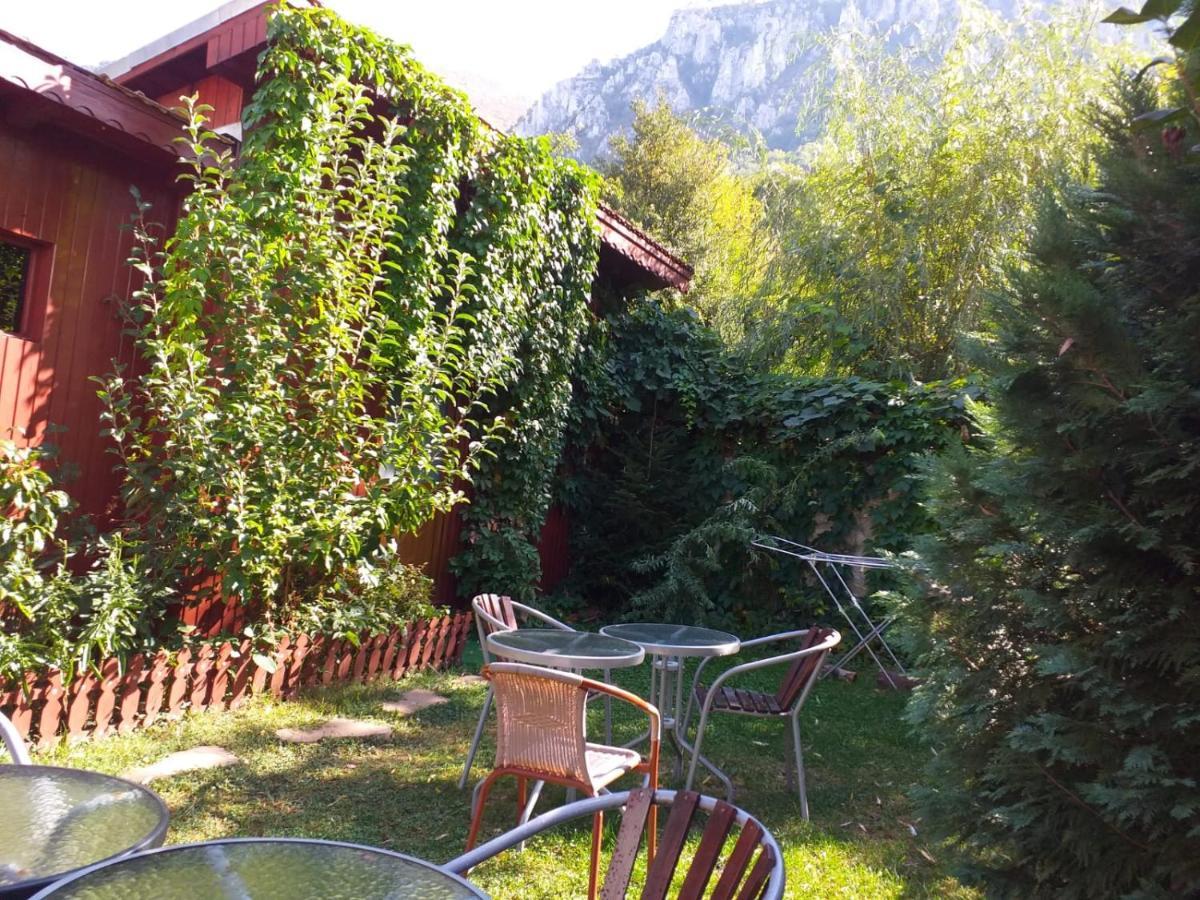 Pension Eden Băile Herculane エクステリア 写真