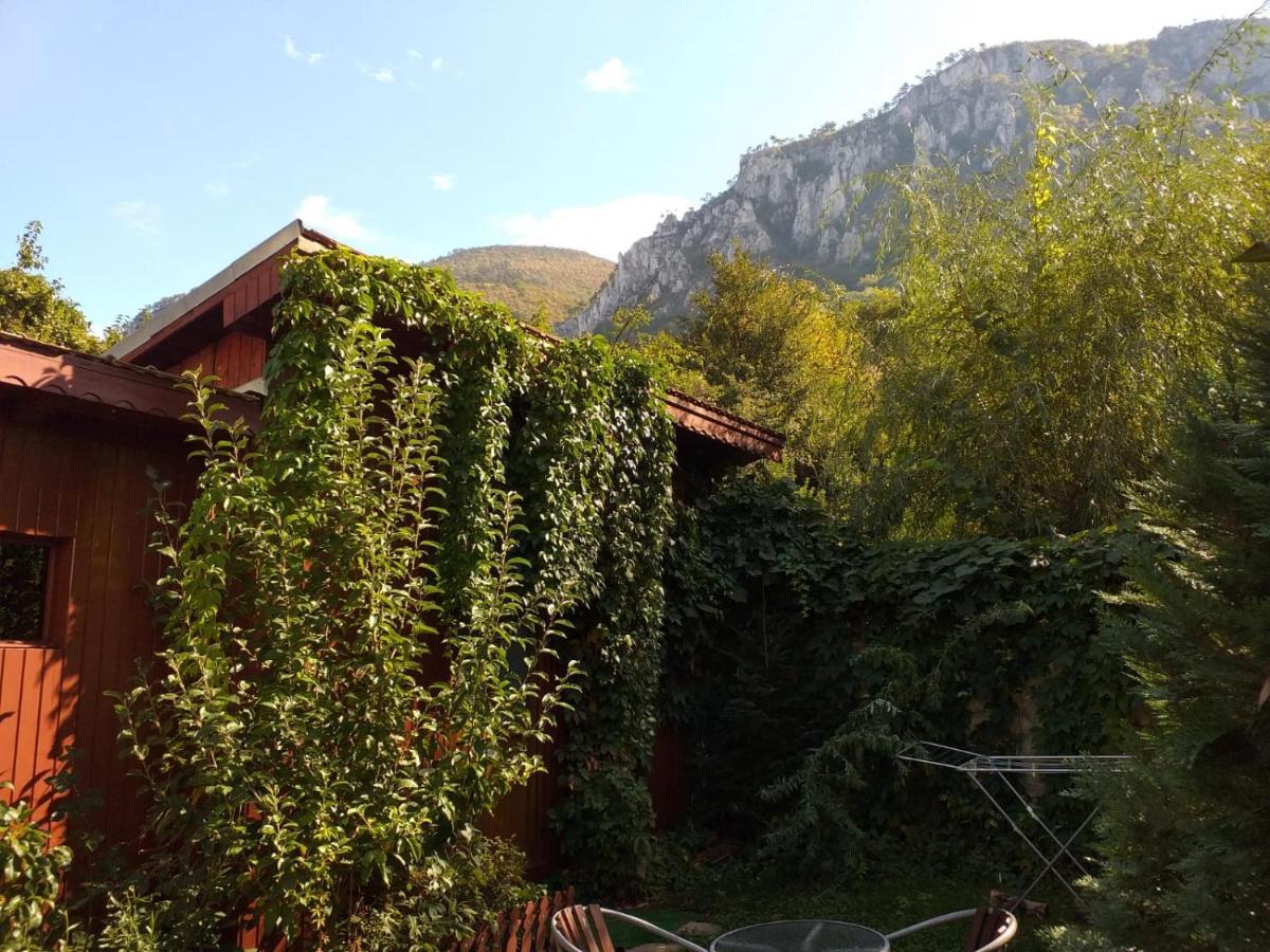 Pension Eden Băile Herculane エクステリア 写真