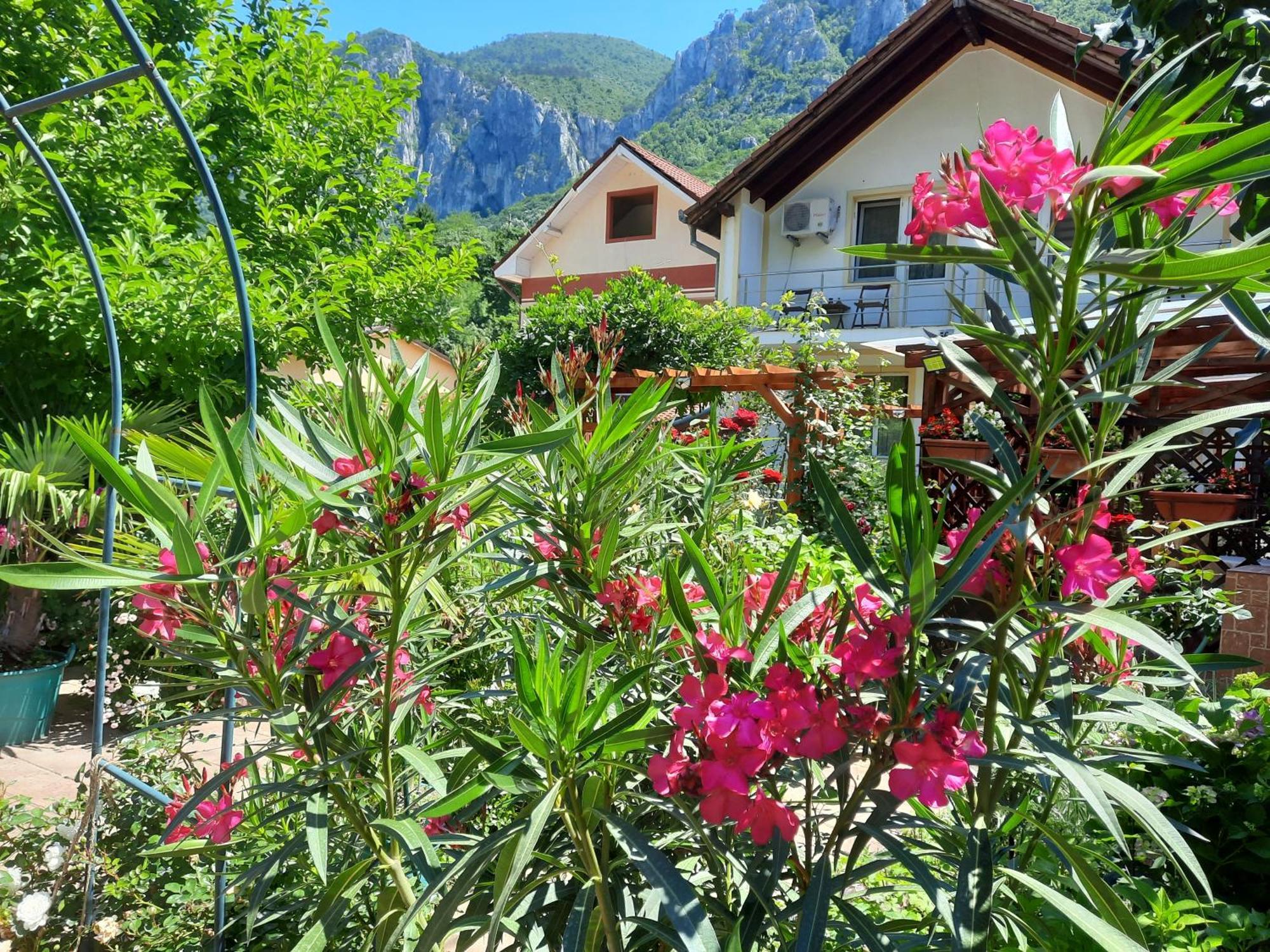 Pension Eden Băile Herculane エクステリア 写真