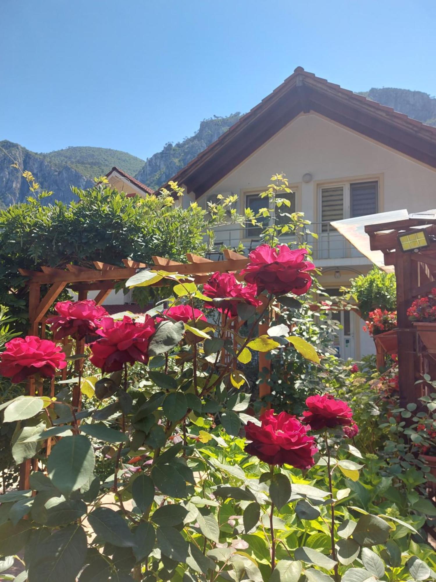 Pension Eden Băile Herculane エクステリア 写真