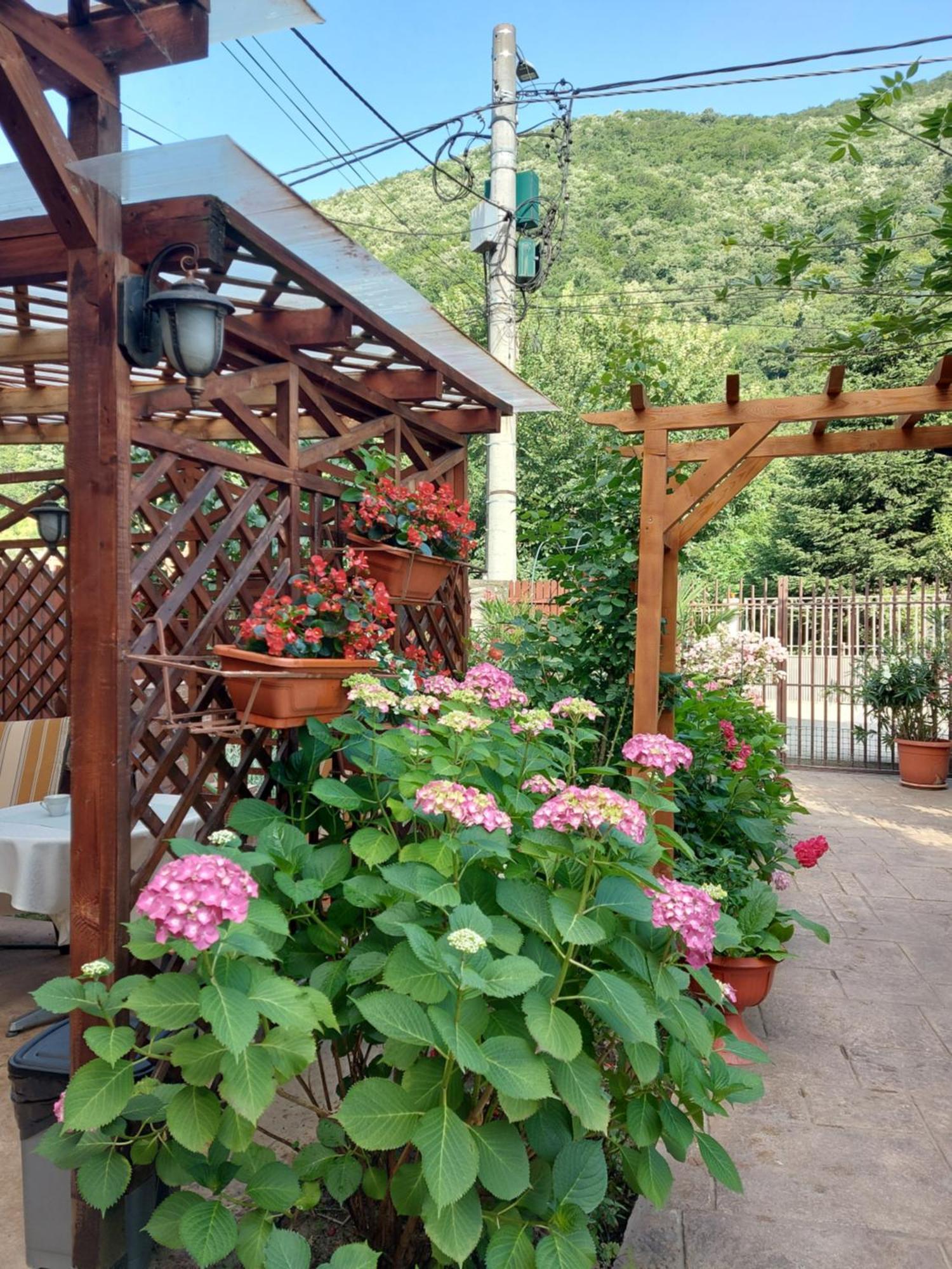 Pension Eden Băile Herculane エクステリア 写真