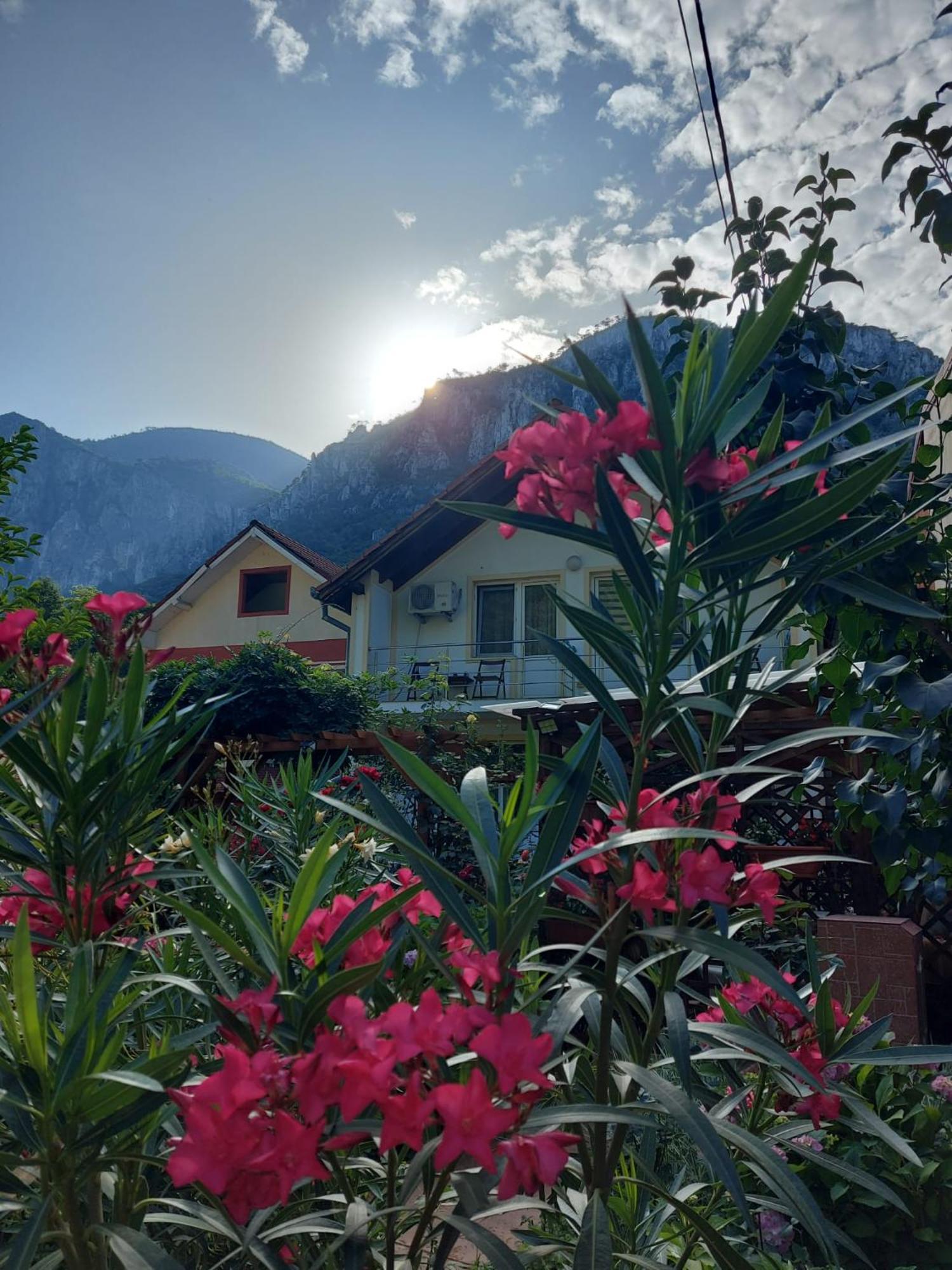 Pension Eden Băile Herculane エクステリア 写真
