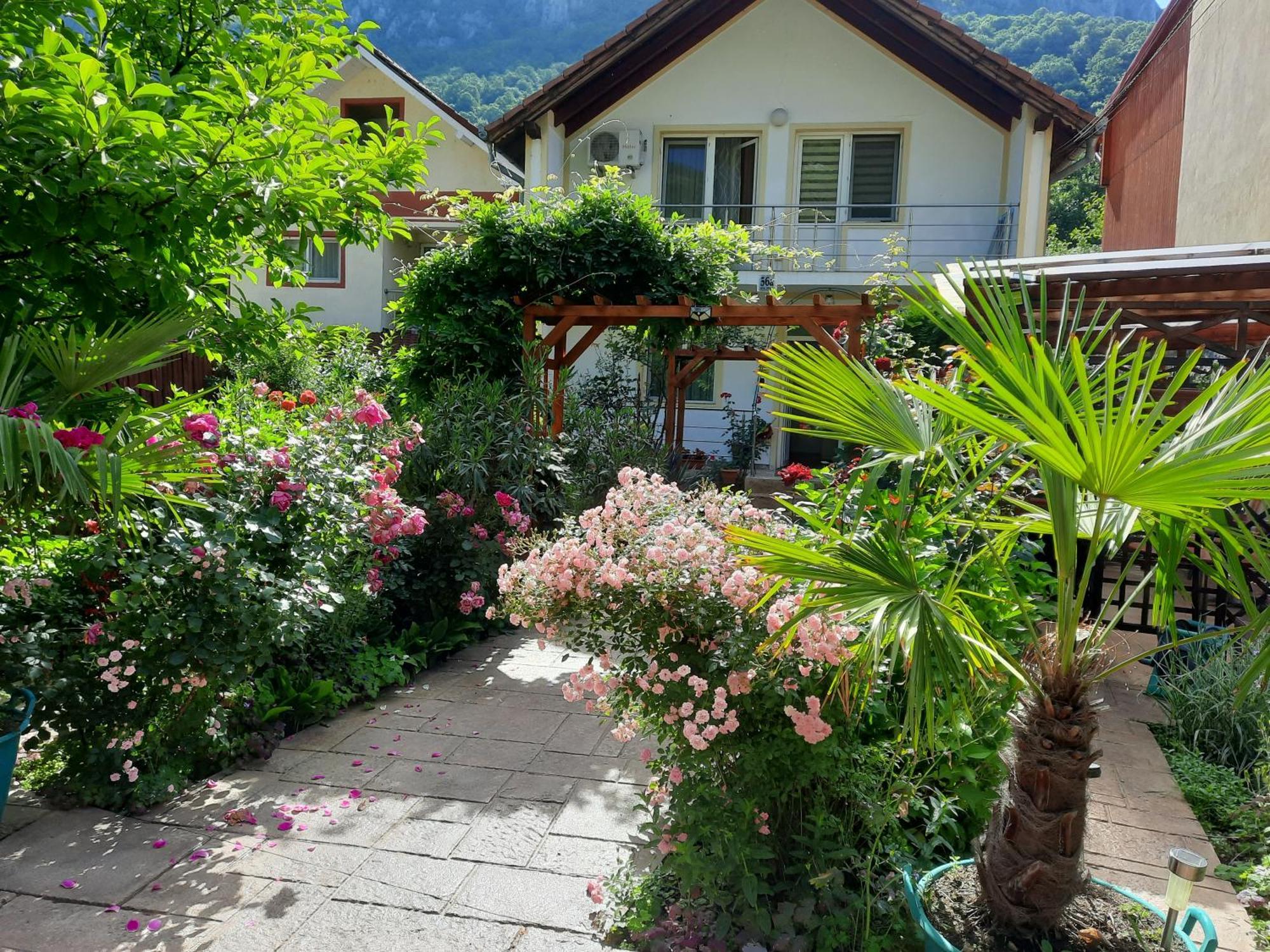 Pension Eden Băile Herculane エクステリア 写真