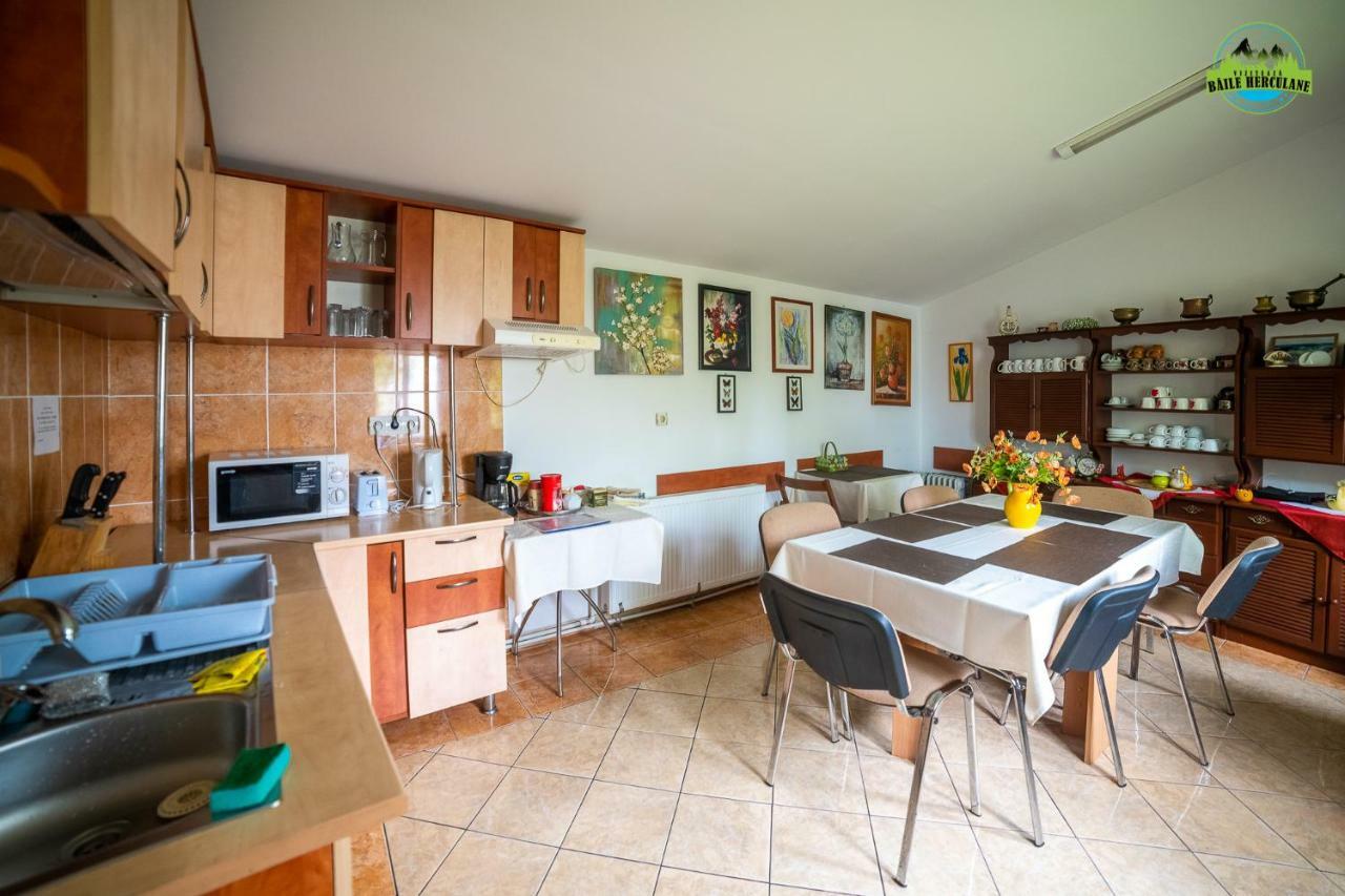 Pension Eden Băile Herculane エクステリア 写真